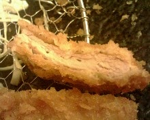 [食記]玫瑰緣別館