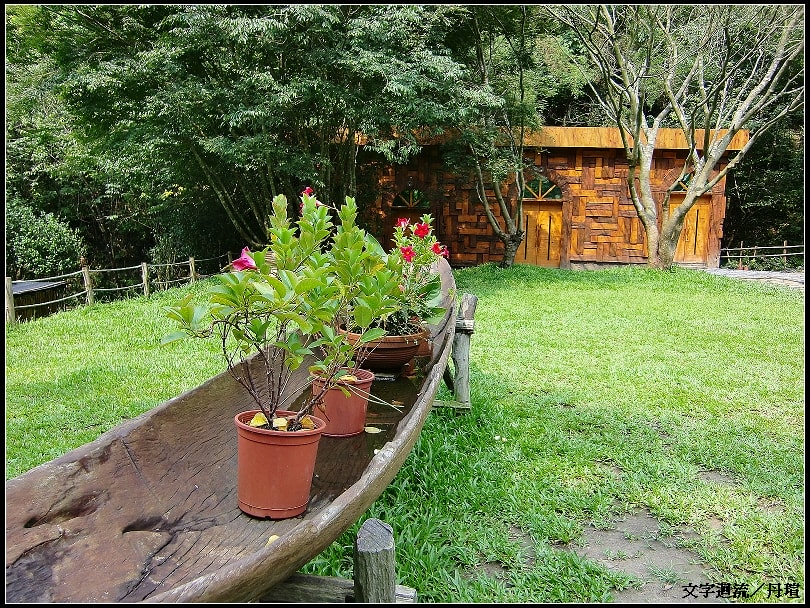 處處是綠意 處處是綠意
