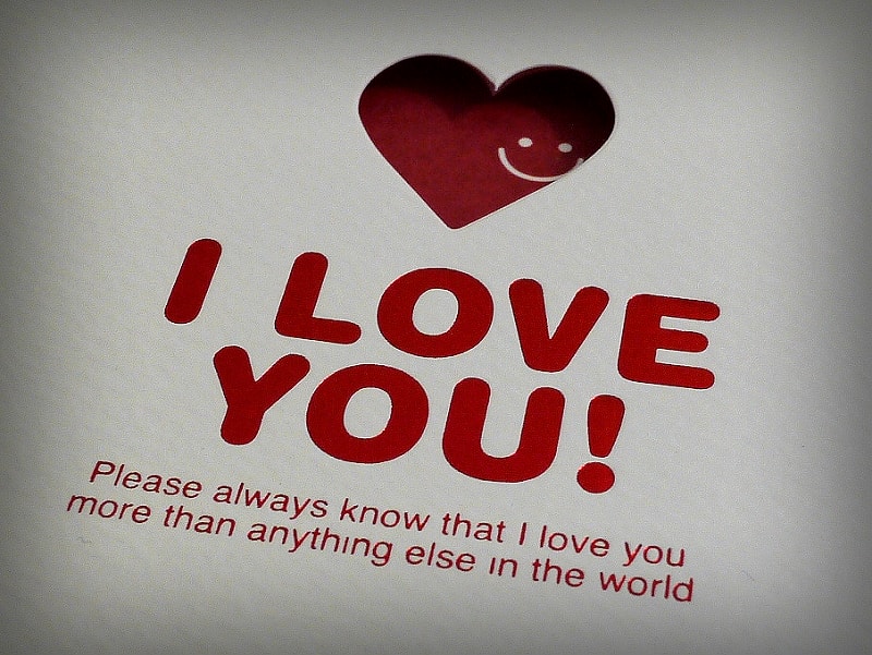 love