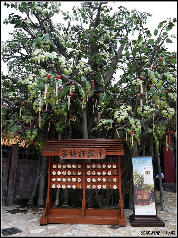 許願樹 許願樹