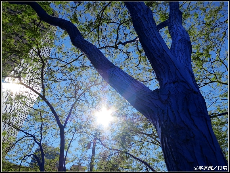 涼爽的氣溫加純藍的天空
