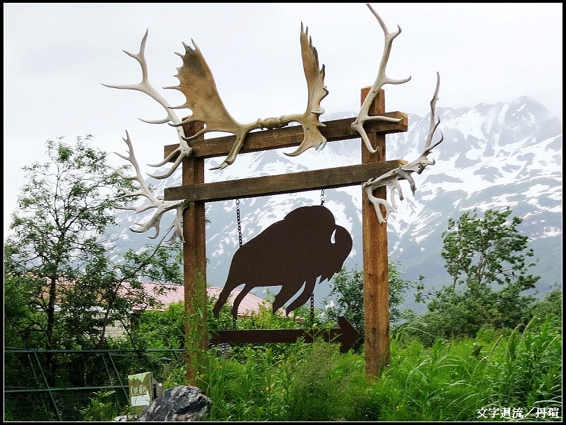 Alaska Wildlife Conservation Center