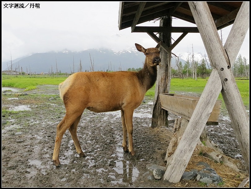 2012阿拉斯加自由行－7/6抵達Whittier