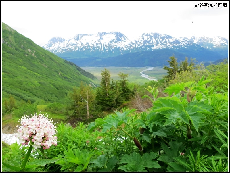 2012阿拉斯加自由行－7/8前進冰河