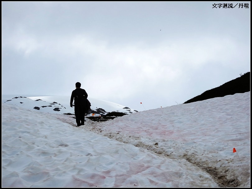 雪中小路