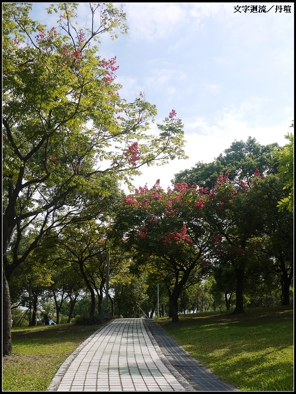 天氣真好