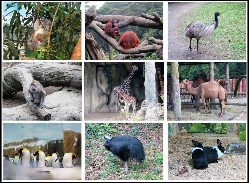 好多動物呀^^