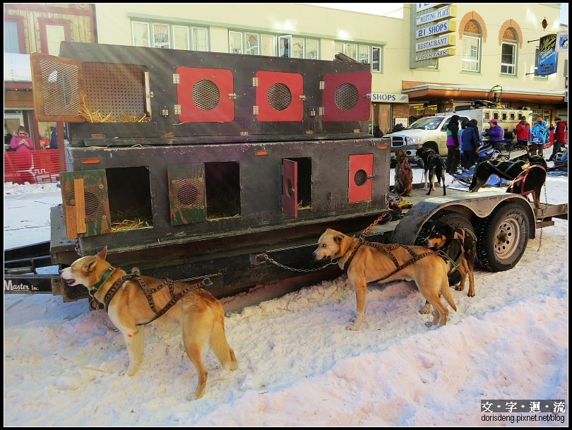 2014/3/21 Open North American Championship Sled Dog Race