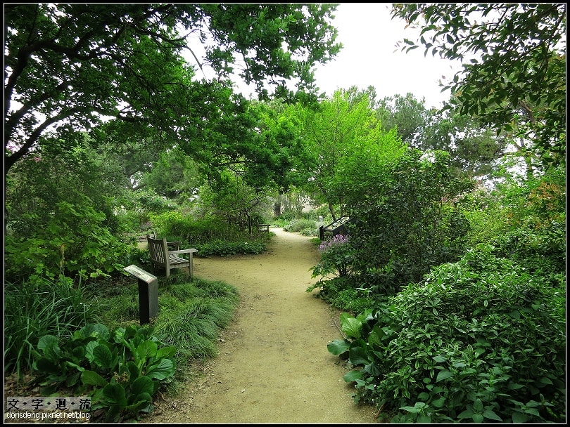 UC Davis校園某個角落