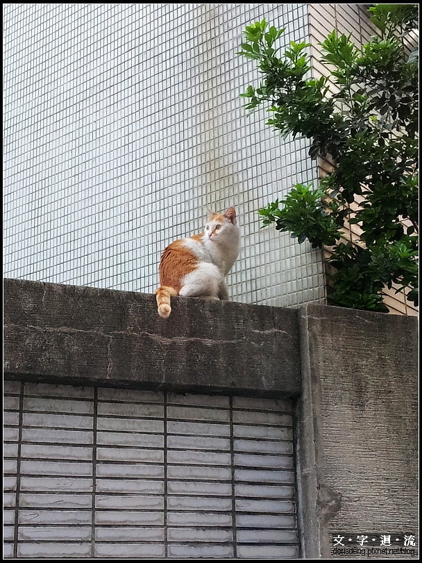 2014/4/10可愛