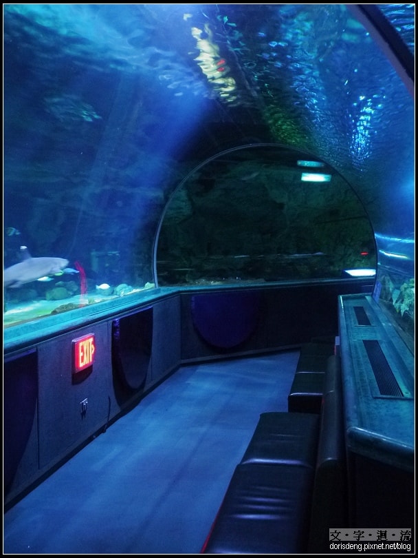 水族館參觀