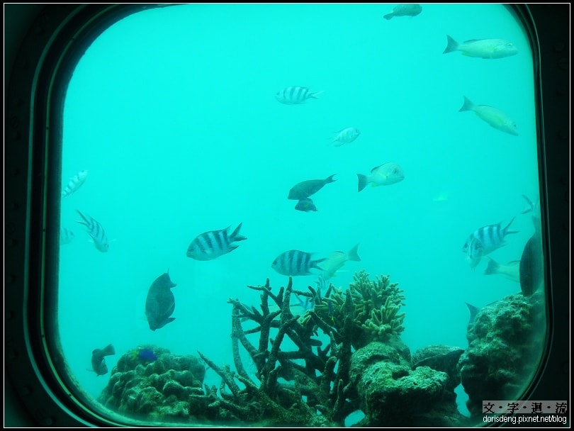 海底十公尺