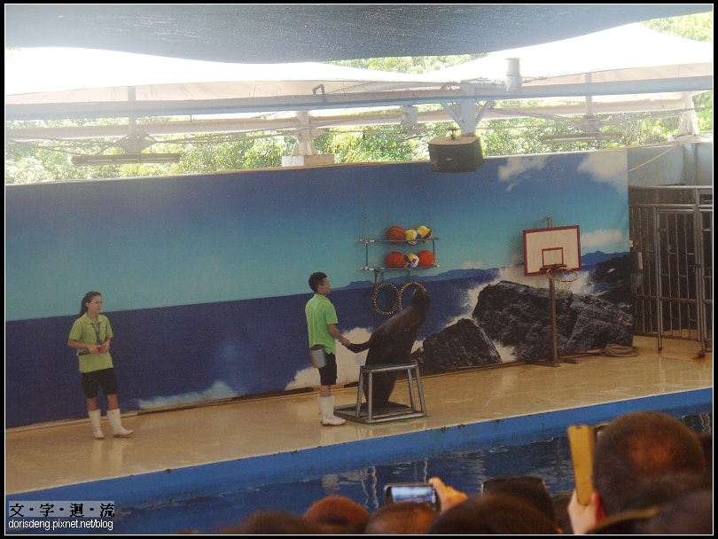 海底世界看表演