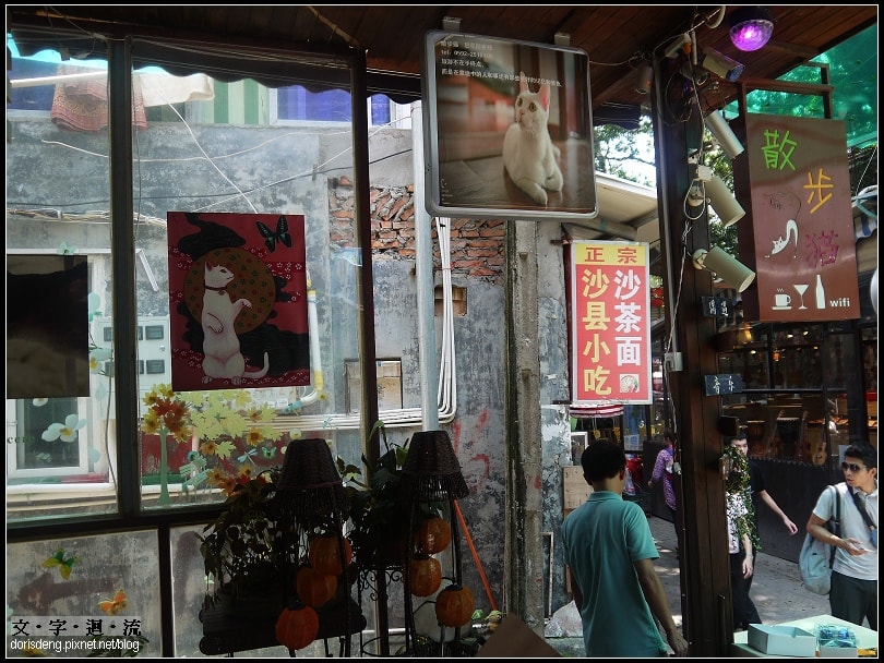 路旁偶遇散步貓