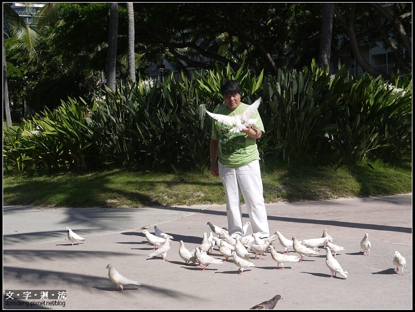 海灘邊的bird whisperer