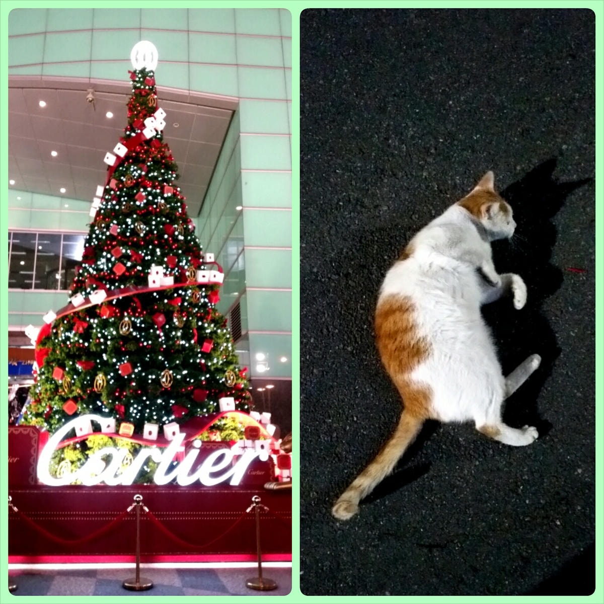 2014/12/12愉快