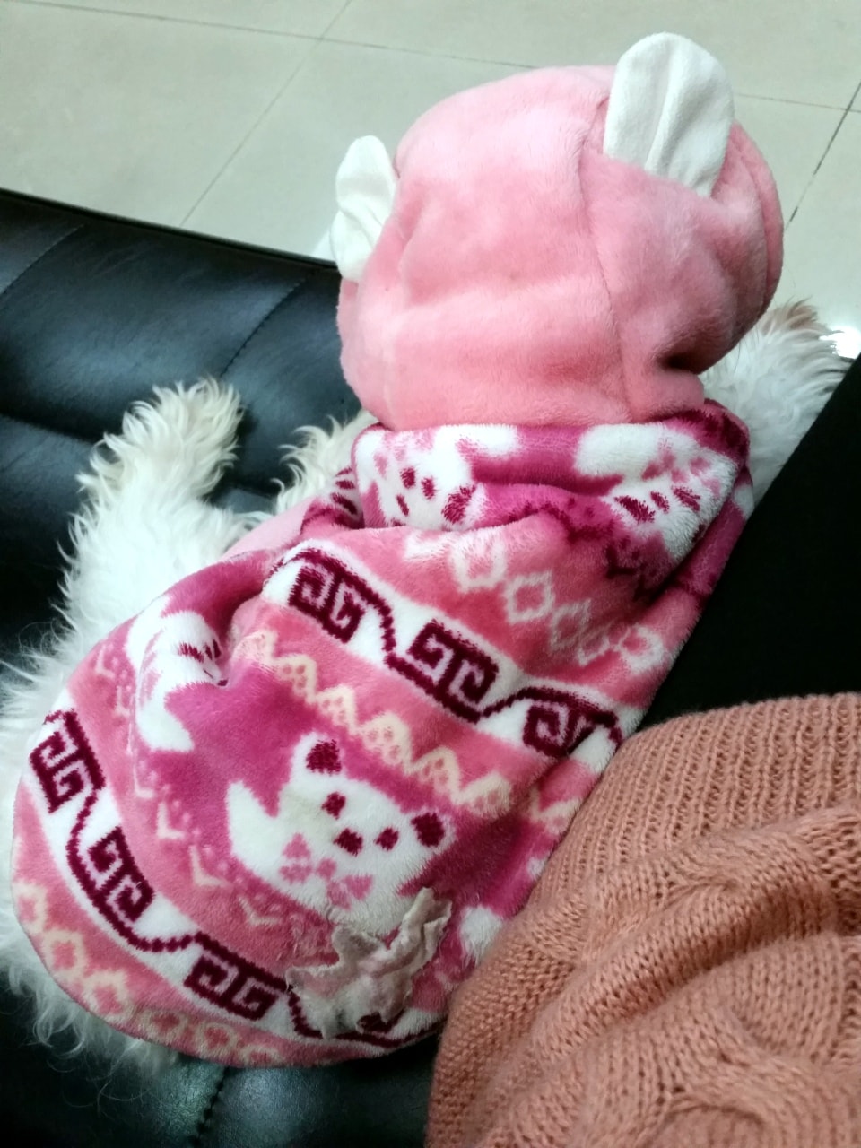 2015/01/12可愛