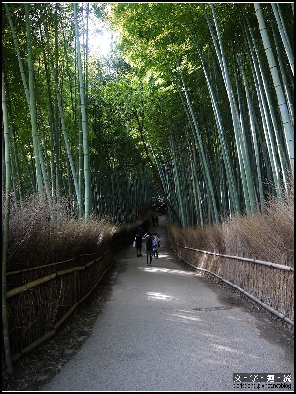 竹林步道