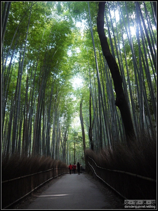 2015京都慢遊4：嵐山
