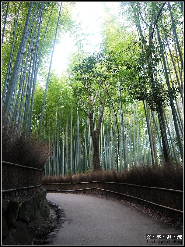 2015京都慢遊4：嵐山