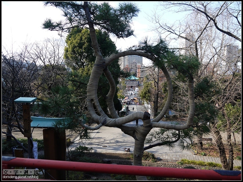 2015東京聖誕遊8：上野&返家
