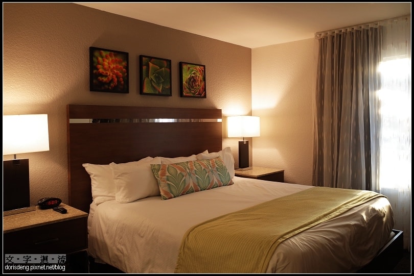 入住舒服的Desert Rose Resort