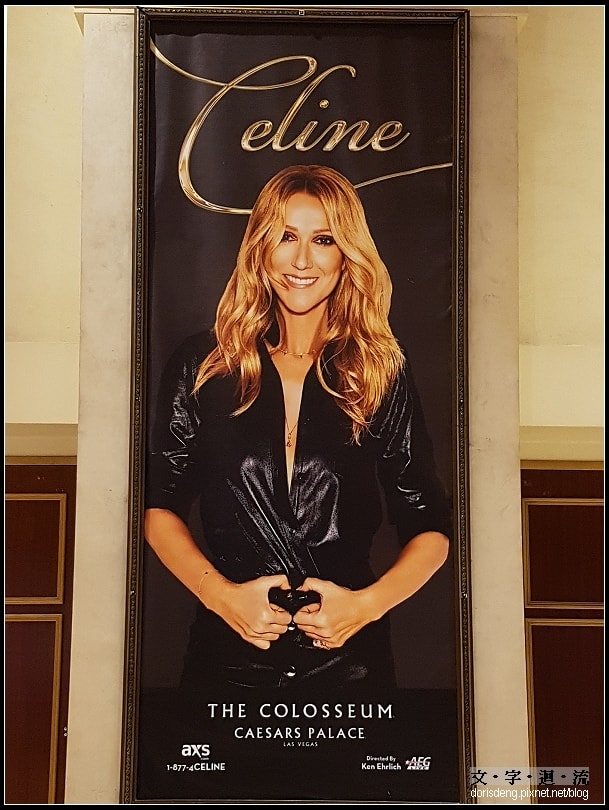Céline Dion的表演居然取消了