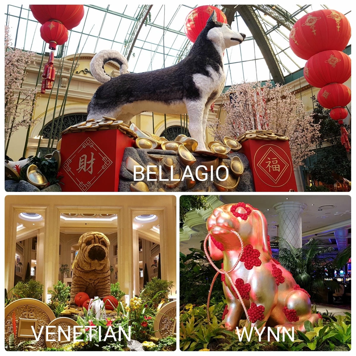 賭城也過狗年