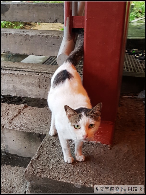 2019吉隆坡居遊4：盡享美食