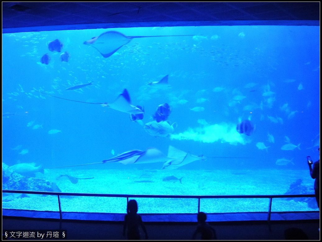 帶著爸爸集點環島：與魚兒共眠是什麼感覺？