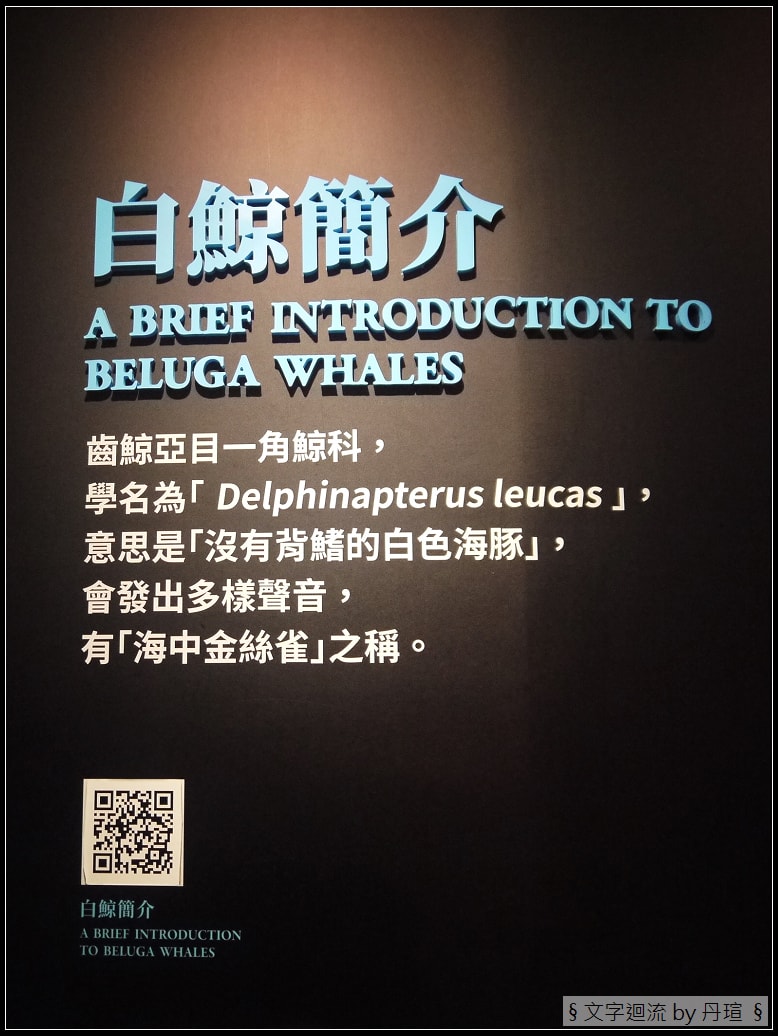 帶著爸爸集點環島：與魚兒共眠是什麼感覺？