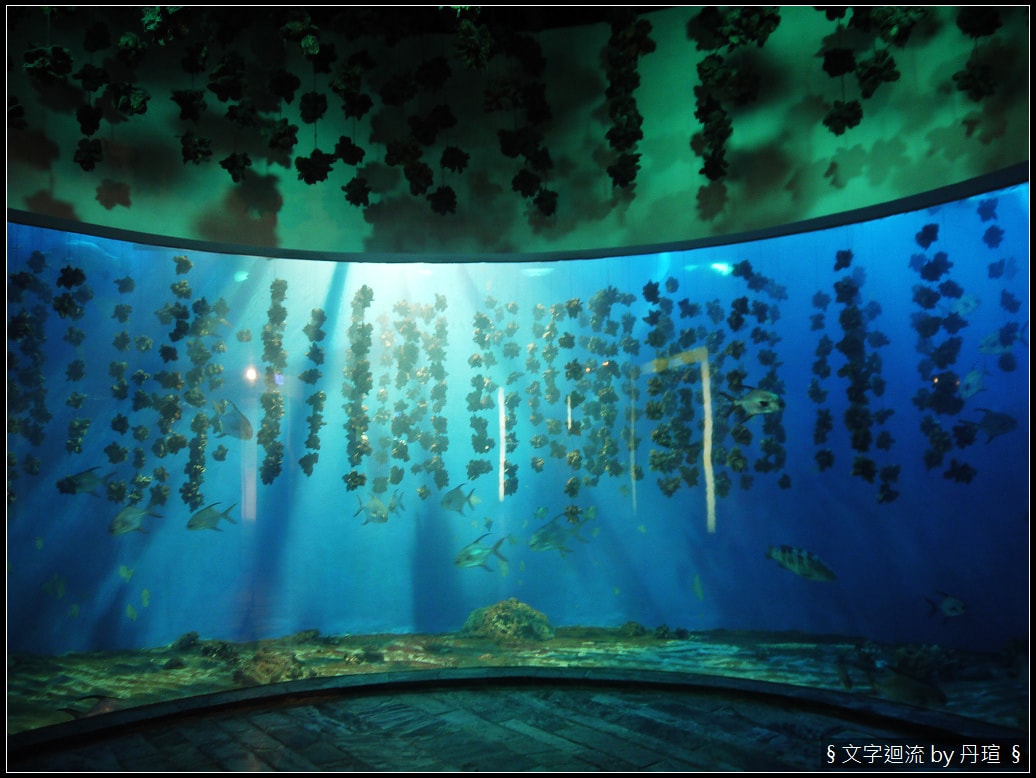 帶著爸爸集點環島：與魚兒共眠是什麼感覺？