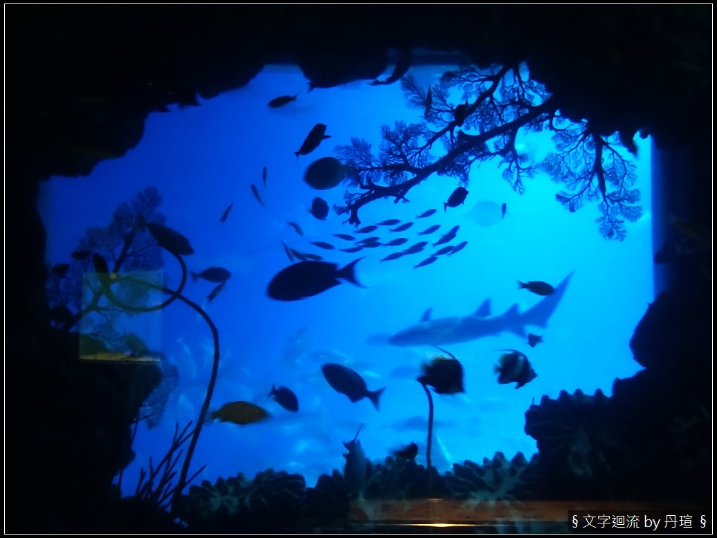 帶著爸爸集點環島：與魚兒共眠是什麼感覺？