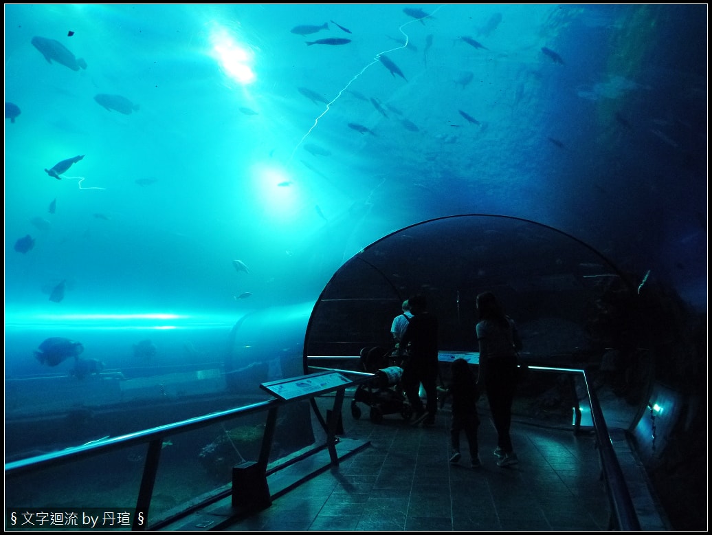 帶著爸爸集點環島：與魚兒共眠是什麼感覺？
