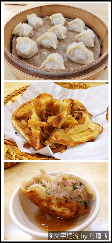 帶著爸爸集點環島：魚和貓的相同行為